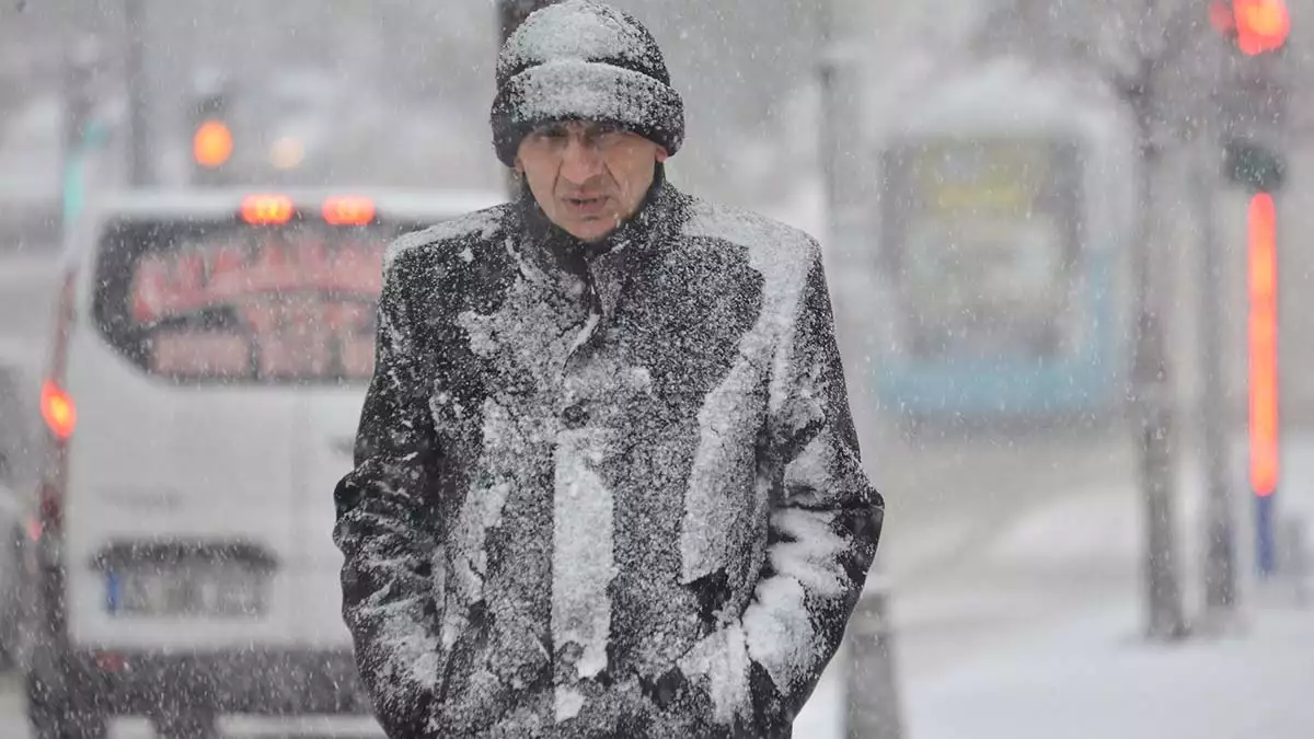 Erzurum ve ardahan'da kar yağışı etkili oldu