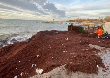 Fırtına sonrası Caddebostan sahili kırmızıya bürüdü
