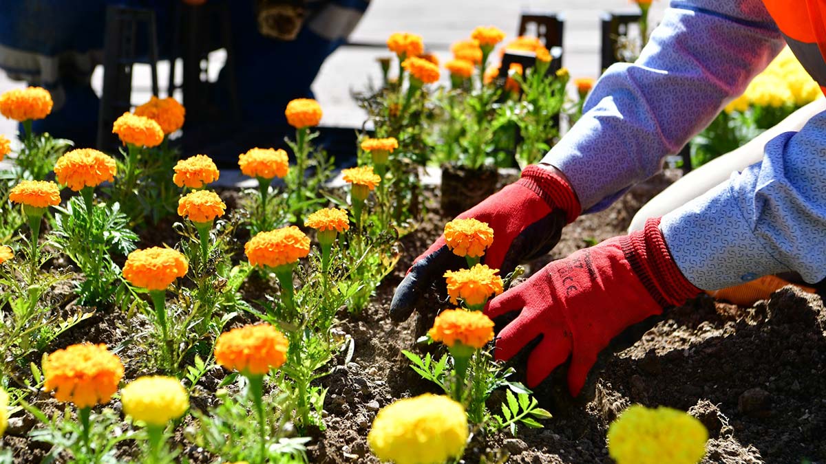 Mamak'ta yeşil alan çalışmaları devam ediyor