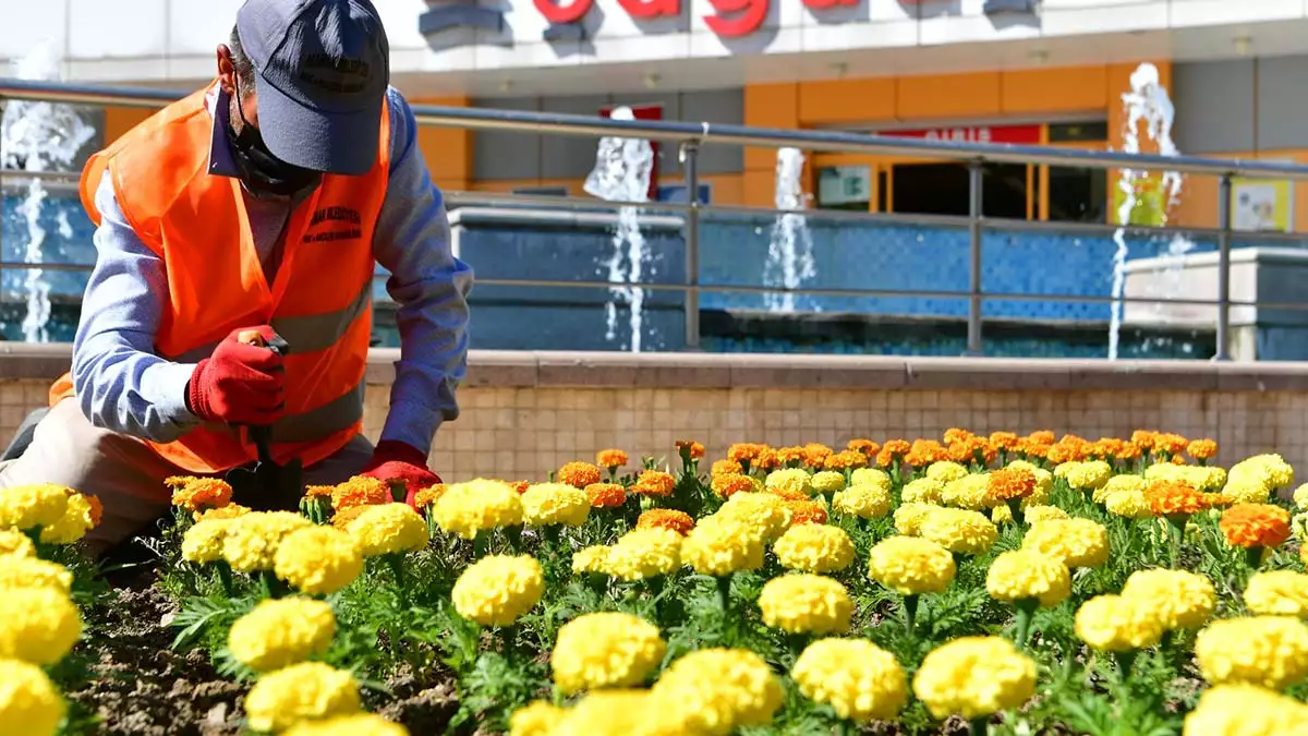 Mamak'ta yeşil alan çalışmaları devam ediyor