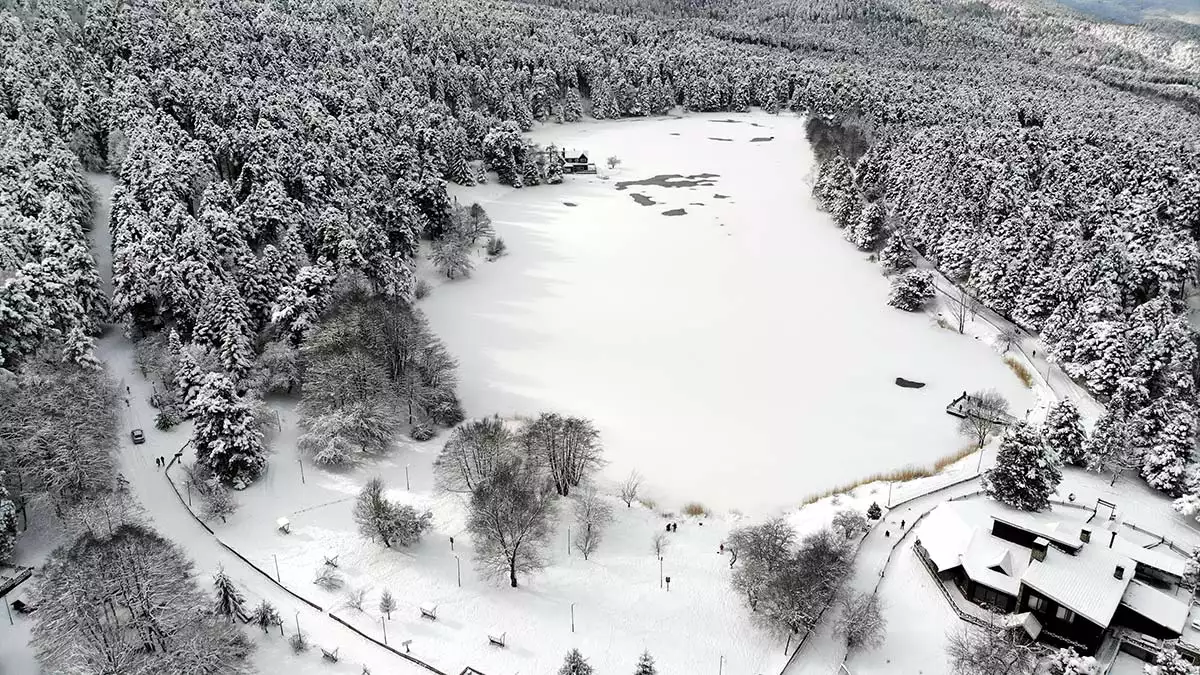 Gölcük tabiat parkı'ndaki göl buz tuttu