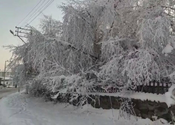 Göle'de hava sıcaklığı eksi 26.4 oldu