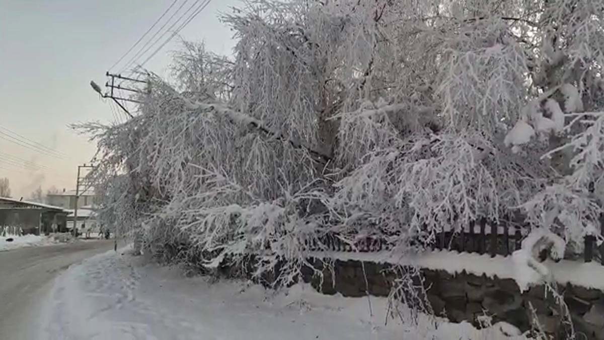 Göle'de hava sıcaklığı eksi 26.4 oldu