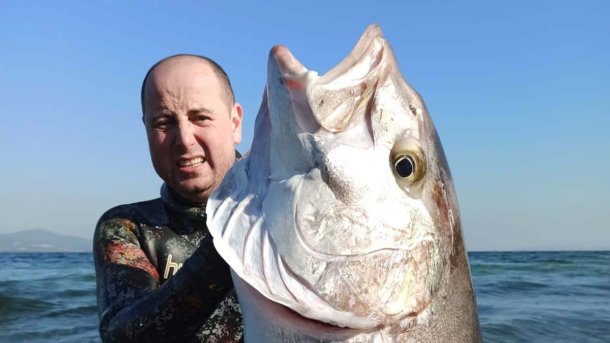 Güvenlik görevlisi, 55 kiloluk akya balığı avladı