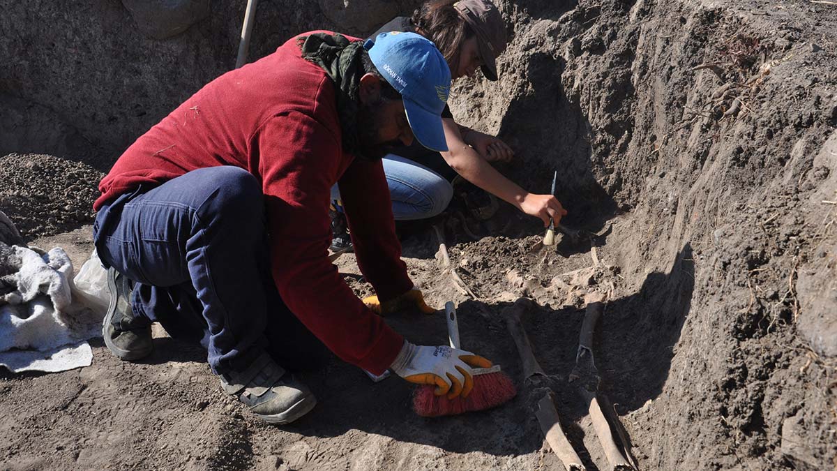 Hamaç Höyük kazısında nekropol bulundu