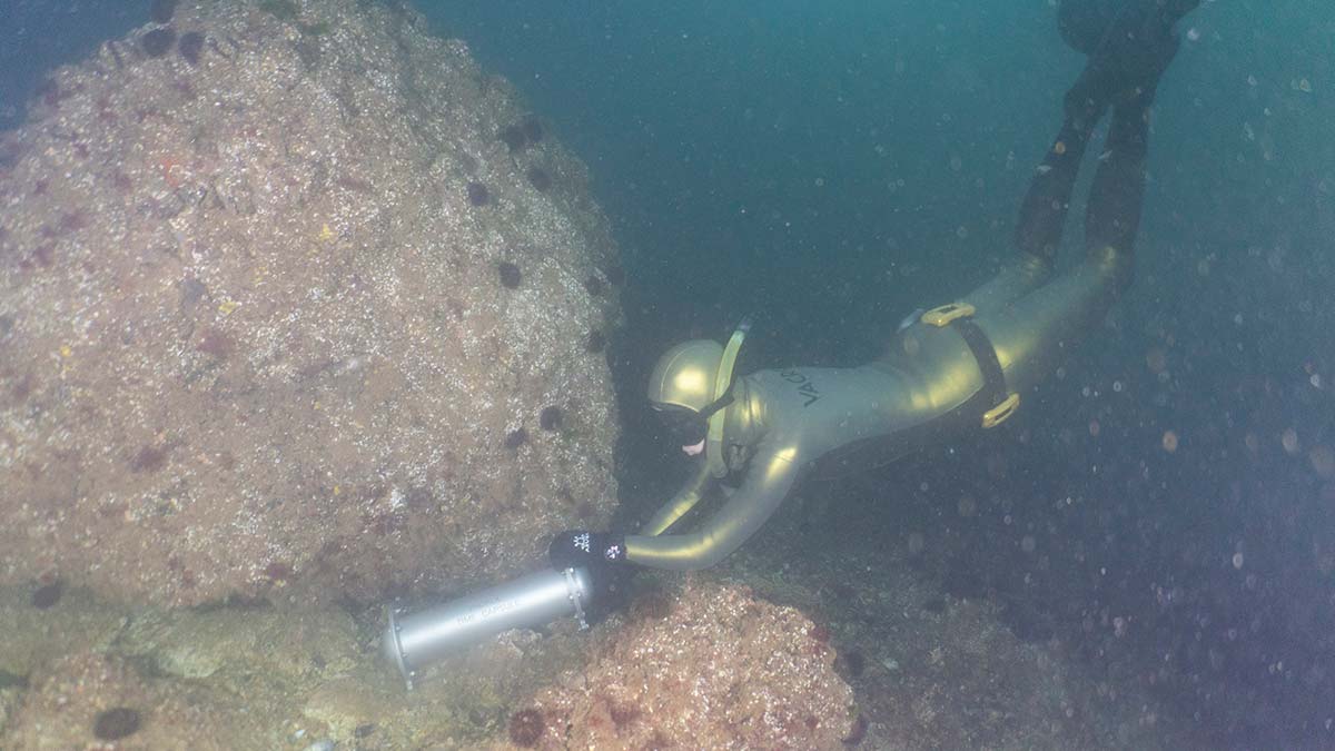 İstanbul Boğazı'nda 50 metrede rekor