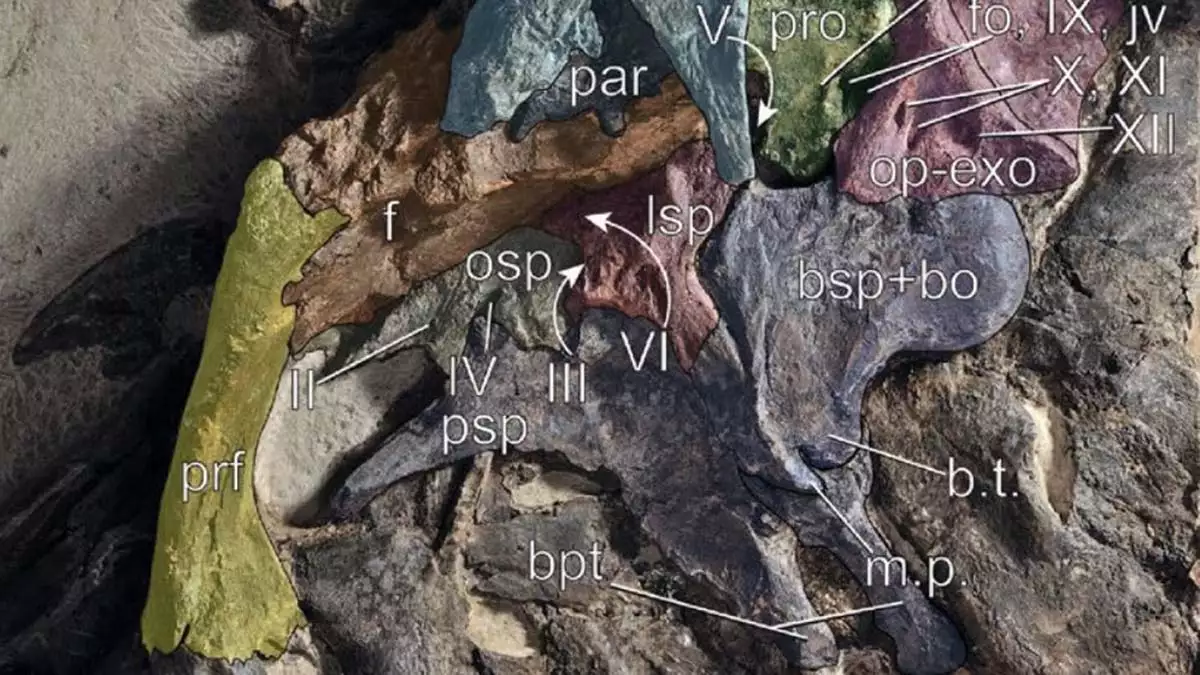 İtalya'da dinozor sürüsü kalıntıları ortaya çıkarıldı