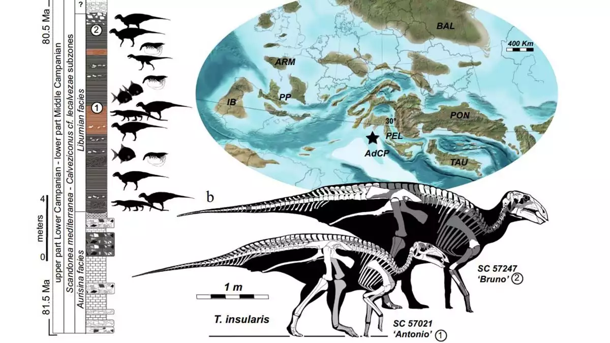 Italyada dinozor surusu kalintilari ortaya cikarildi 3 - dış haberler - haberton