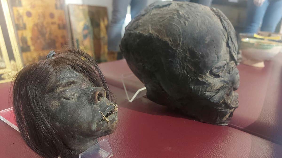 Tsantsa olarak adlandırılan insan başları