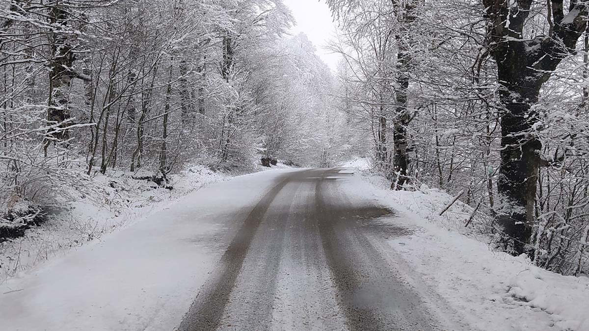 Karadeniz Bölgesi'nde kar yağışında okullar tatil