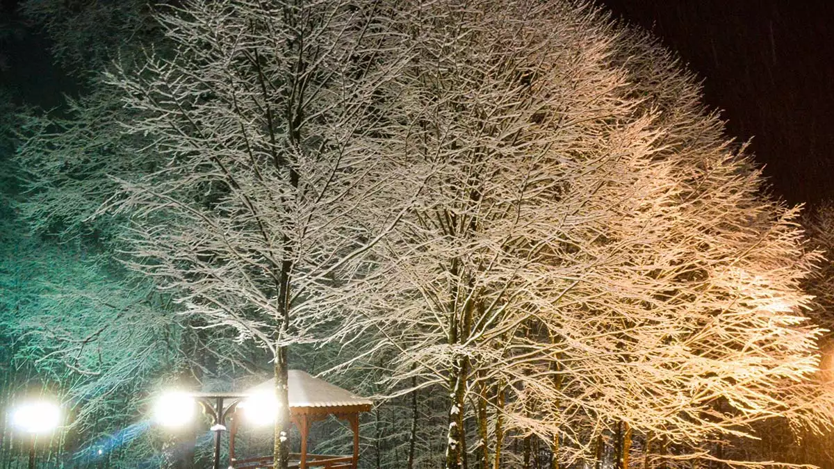 Karadeniz bolgesinde kar yagisinda okullar tatil 3 - yerel haberler - haberton