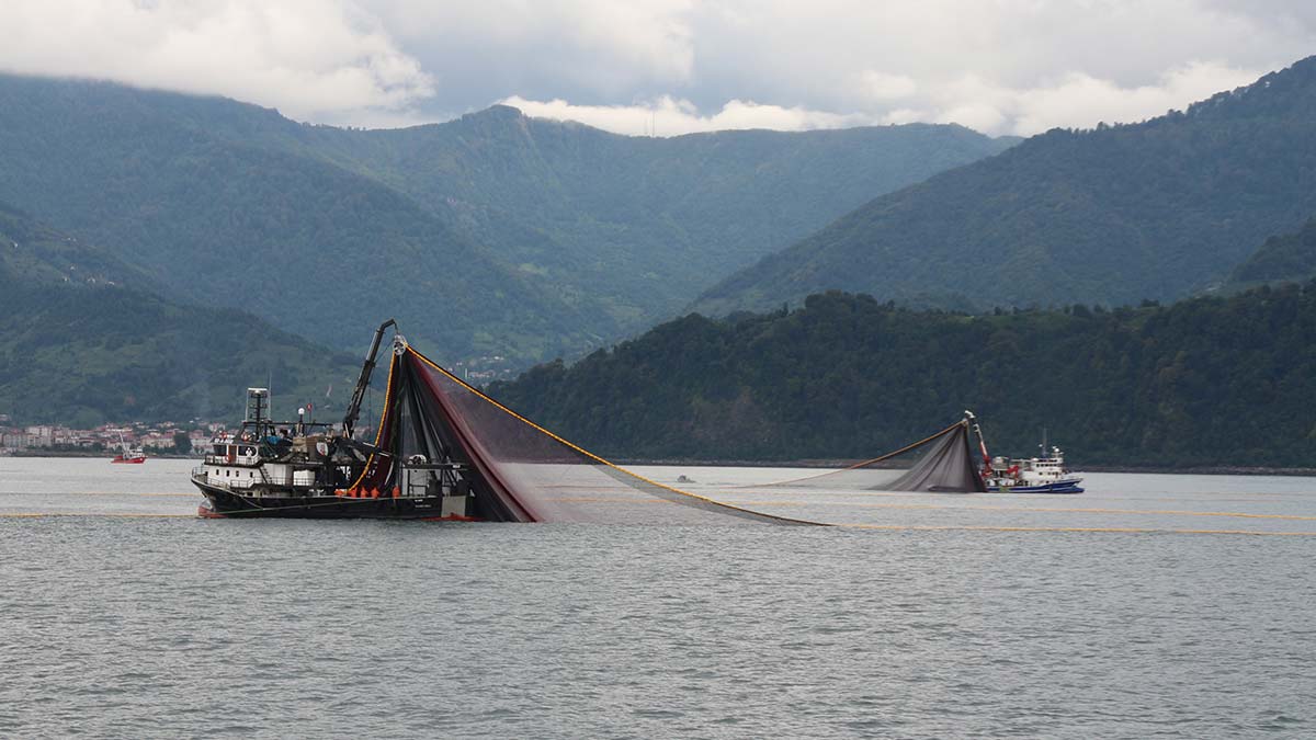 Karadeniz'de deniz suyu sıcaklığı 13 derece