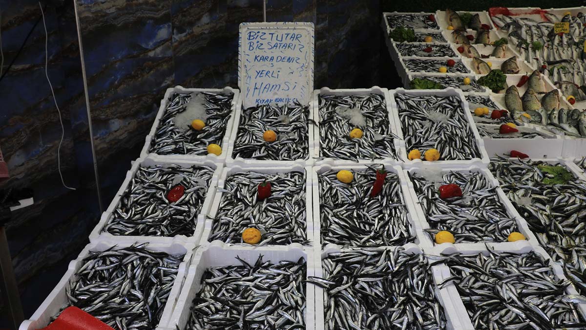 " Geçen yıl birkaç defa avcılık dönemi yasaklandı, kısıtlama getirildi"