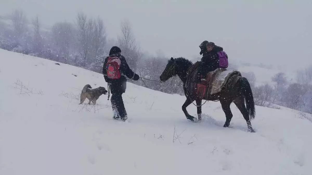Köy yolu kapanınca at sırtında okula gittilerköy yolu kapanınca at sırtında okula gittiler
