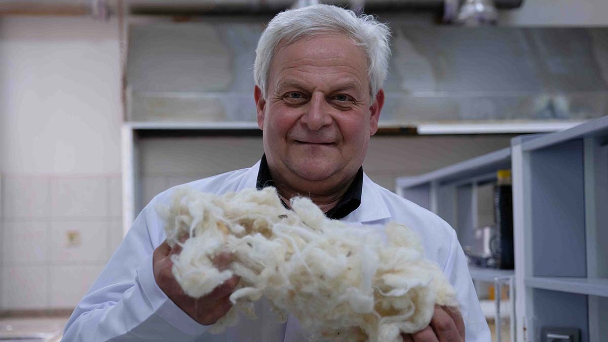 Koyun yününden keratin elde edildi
