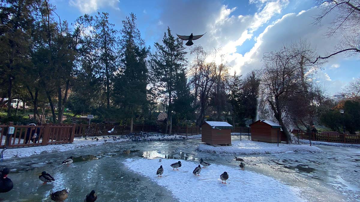Kuğulu Park'taki süs havuzu buz tuttu