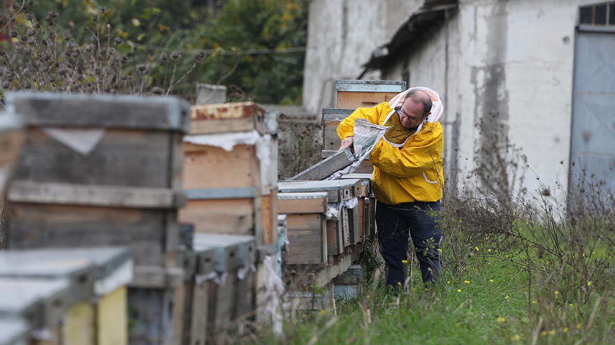 Kuraklık ve iklim değişikliği bal üretimini düşürdü