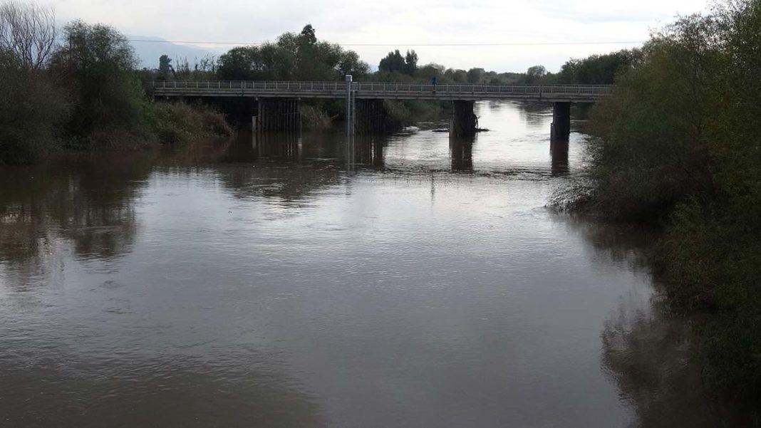 Kuruyan Büyük Menderes Nehri eski günlerine döndü