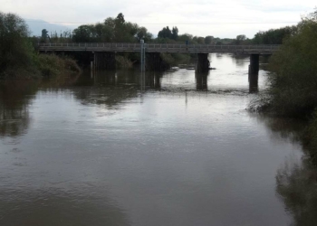 Kuruyan Büyük Menderes Nehri eski günlerine döndü