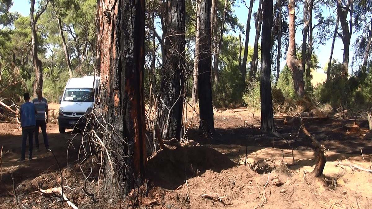 Manavgat yangını tutuklusunun ifadesi ortaya çıktı