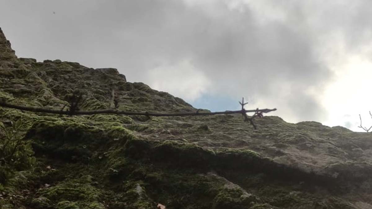 Manzarayı izlemek için çıktığı kayalıktan düşüp öldü
