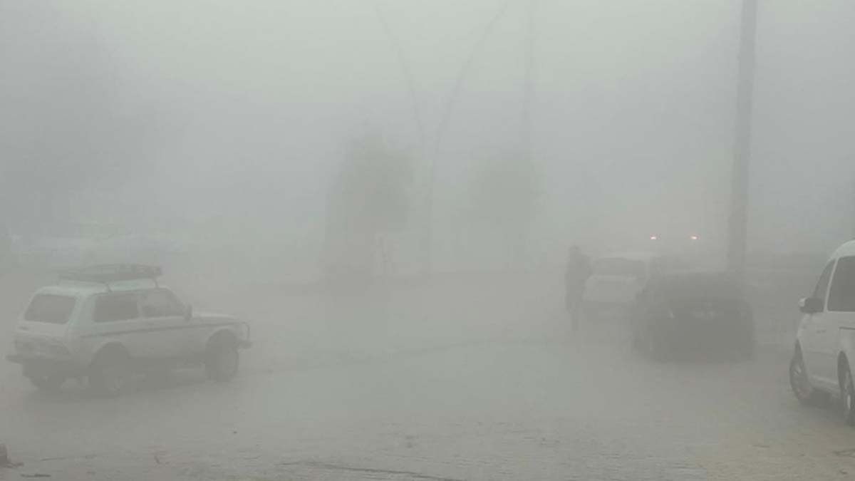 Mardin'de etkili olan sis zor anlar yaşattı