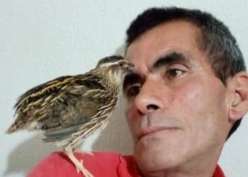 Mersin'in Mut ilçesinde sahte içkiden 2 kişi öldü