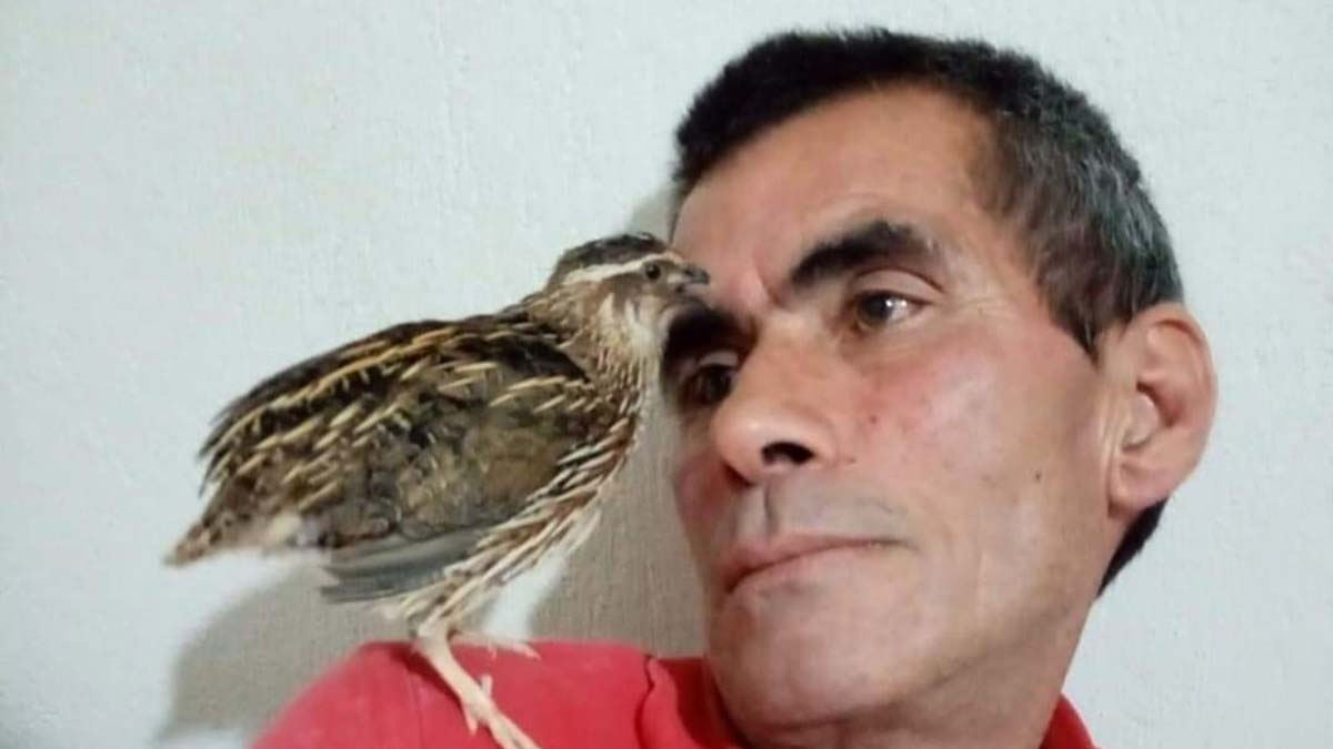 Mersin'in Mut ilçesinde sahte içkiden 2 kişi öldü