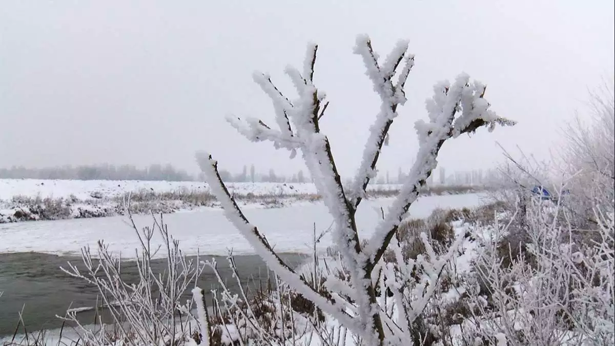 Musta nehir dere ve goletlerin yuzeyi buzla kaplandi - yerel haberler - haberton