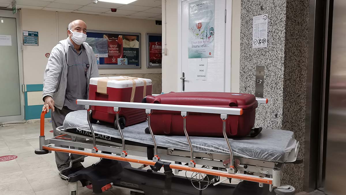 Uzman ekip tarafından operasyonla alınan Tezlik'in akciğer, karaciğer ve böbrekleri 5 hastaya nakledilmek üzere hava ve karayoluyla İzmir, Malatya ve Sivas' gönderildi
