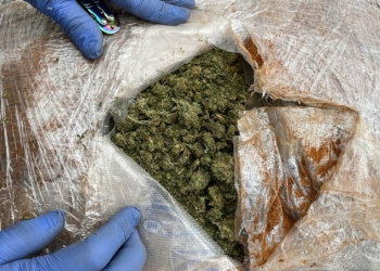Osmaniye'de 31 kilo 50 gram skunk ele geçirildi