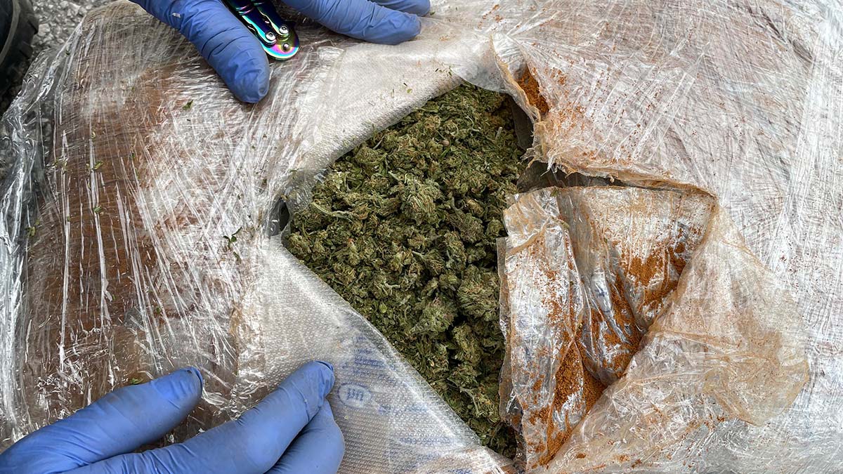 Osmaniye'de 31 kilo 50 gram skunk ele geçirildi