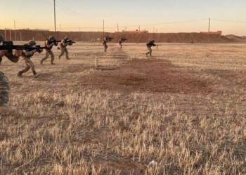 PKK'nın sözde eyalet sorumlusu etkisiz hale getirildi