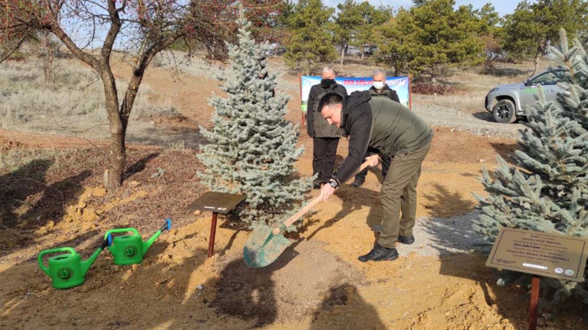 " Dünyada en fazla fidan dikim rekorunu biz yaptık. 2020'de harita üzerinden yine dünyanın en büyük ağaç mozaiği yaptık"