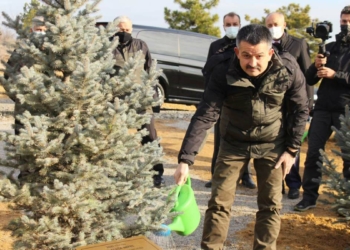 Pakdemirli: 5.5 milyar fidanı toprak ile buluşturduk