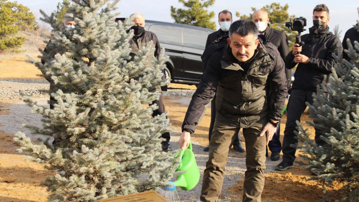 Pakdemirli: 5.5 milyar fidanı toprak ile buluşturduk