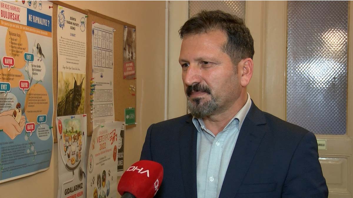 ‘Kedim Klinikte’ projesi bu yıl, 15 Kasım-15 Aralık tarihlerinde devam edecek