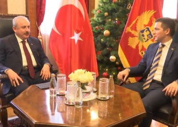 Şentop, Karadağ Meclis Başkanı ile görüştü
