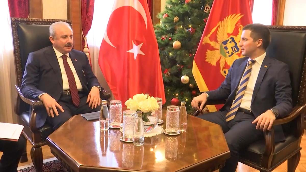 Şentop, Karadağ Meclis Başkanı ile görüştü