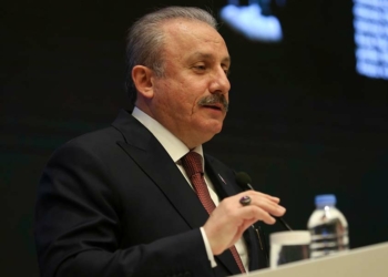Şentop: Dünya yeni bir düzen arayışıyla karşı karşıya