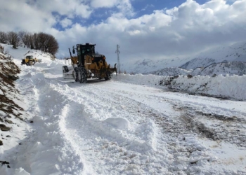 Siirt'in Pervari ve Şirvan ilçelerinde 41 yol açıldı