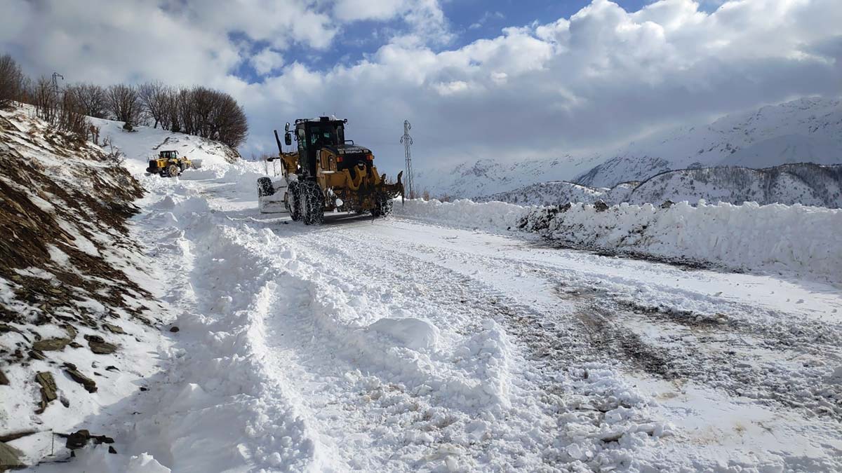 Siirt'in Pervari ve Şirvan ilçelerinde 41 yol açıldı