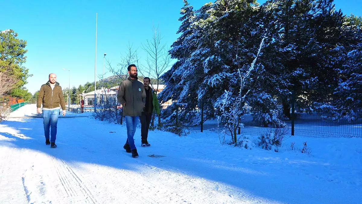 Devriye gezen ekipler, vatandaşları da ağaç kesmemeleri konusunda uyardı