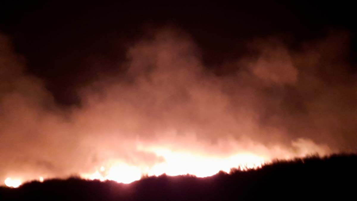 Sultan Sazlığı Milli Parkı'nda yangın