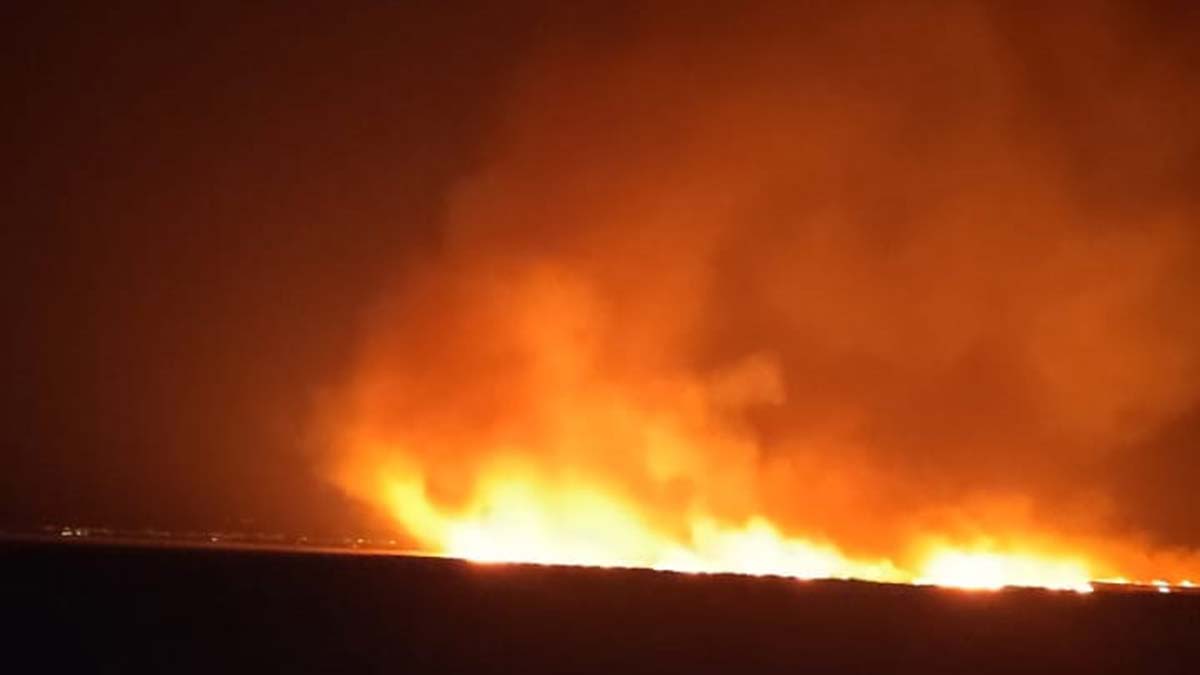 Sultan Sazlığı Milli Parkı'nda yangın