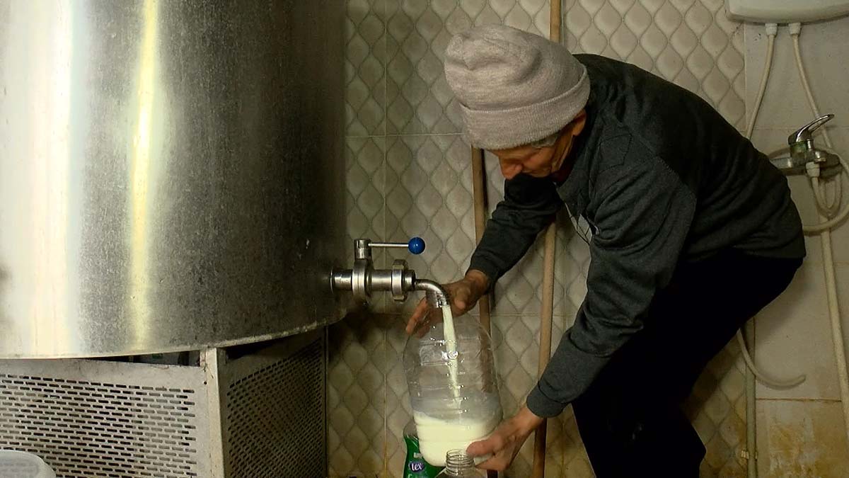 Süt üreticisi: Yem fiyatı arttı, süt fiyatı değişmedi