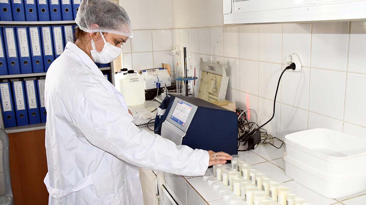 "Sütün pahalıya satılmasının nedeni aracılar"