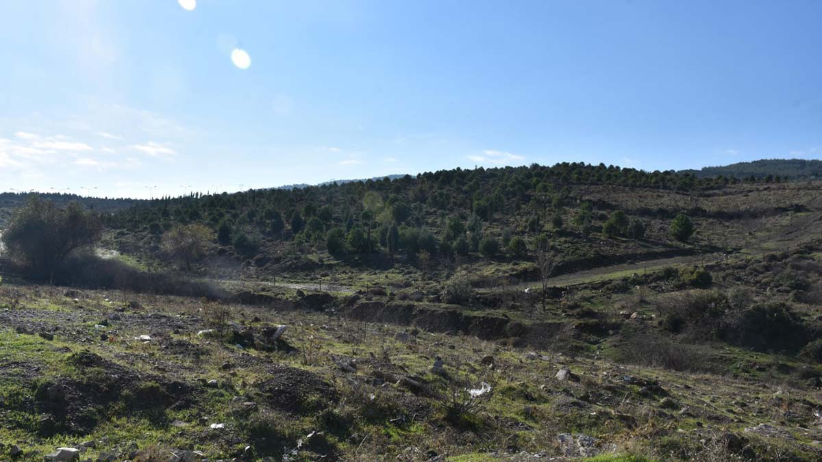 Aydın, Didim ve Kuşadası'nda da 10 adet arsa satışa sunulacak