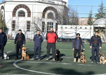Ankara İtfaiyesi çifte başarıya imza attı