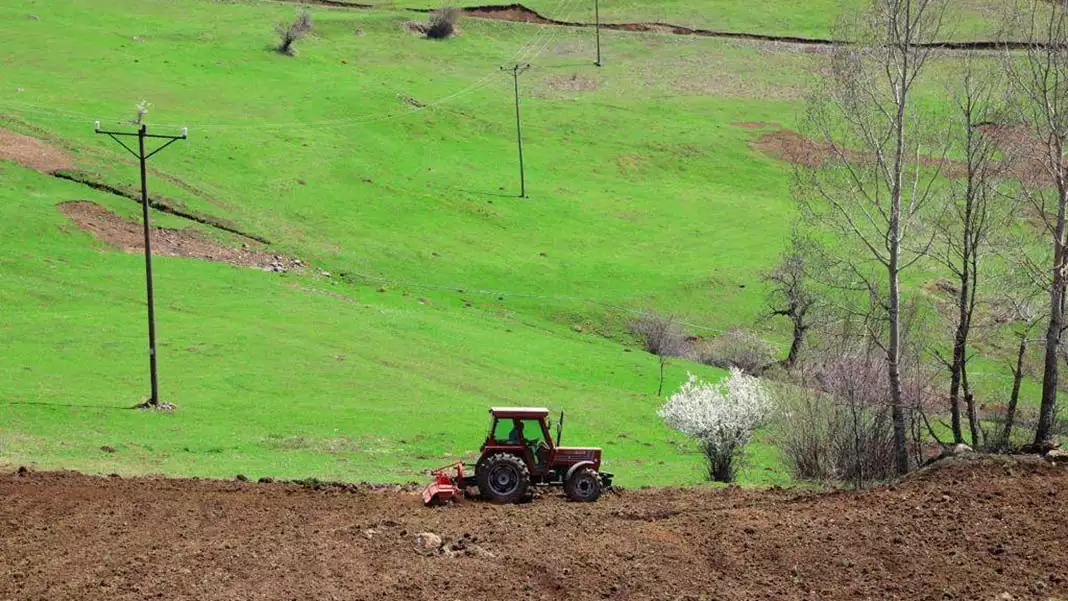 " aynı zamanda yumurta üretimi konusunda çok büyük bir atak yaptık"